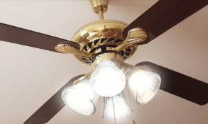 Various types of ceiling fans
