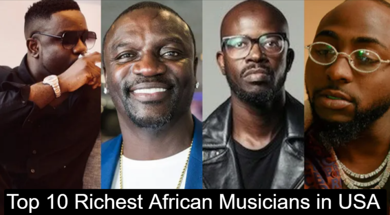 Top 10 Most Richest African Musicians​ in USA 2026