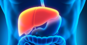 Why Liver Detoxifier Capsules, Magnesium Capsules & Collagen Powder Deserve a Spot in Your Daily Routine